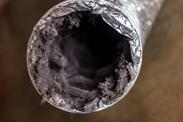 Best HVAC Air Duct Cleaning  in Smithville, MO