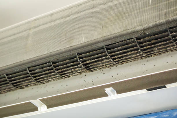 Best Commercial Air Duct Cleaning  in Smithville, MO